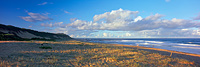 Wamberal Beach