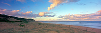 Wamberal Beach