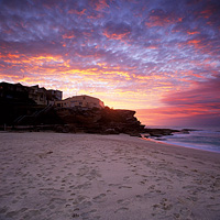 Tamarama SLSC