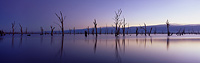 Lake Mulwala
