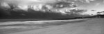 Narrabeen Beach