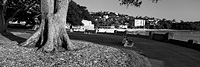 Balmoral Beach