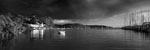 Pittwater Reflections