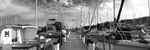 Pittwater Wharf