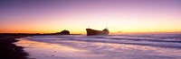 Pasha Bulker