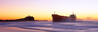 Pasha Bulker