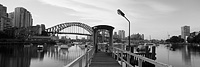 Lavender Bay