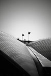 Sydney Icons