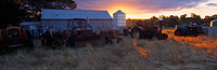 Out to Pasture