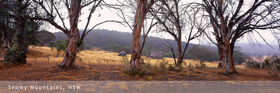 Snowy Mountains, NSW