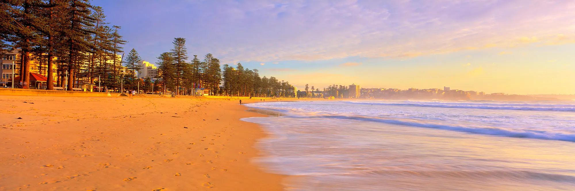 Manly Beach Golden Sunrise Panoramic Photo - Fine Art Images