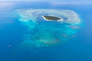 Great Barrier Reef, QLD
