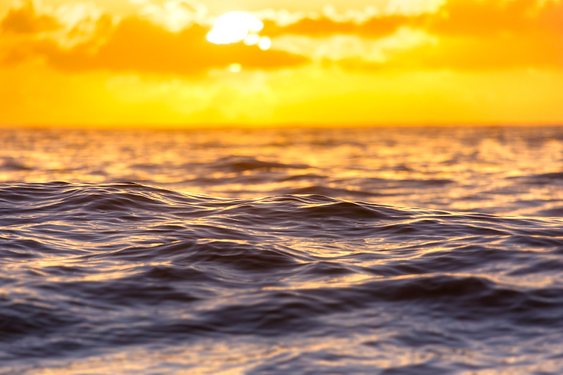 New Day Terrigal Beach Wave Photos