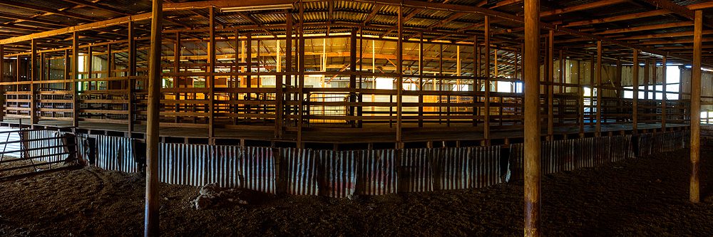 Shearing Shed Shearing Shed