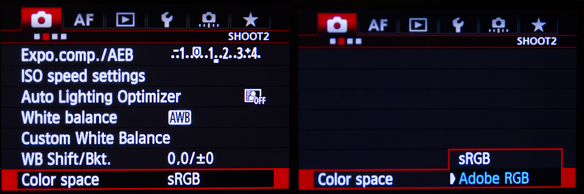 Canon 5D Mk III Colour Space