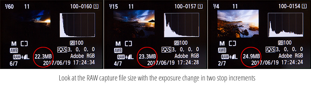 Distribution of information on the Digital Camera Histogram