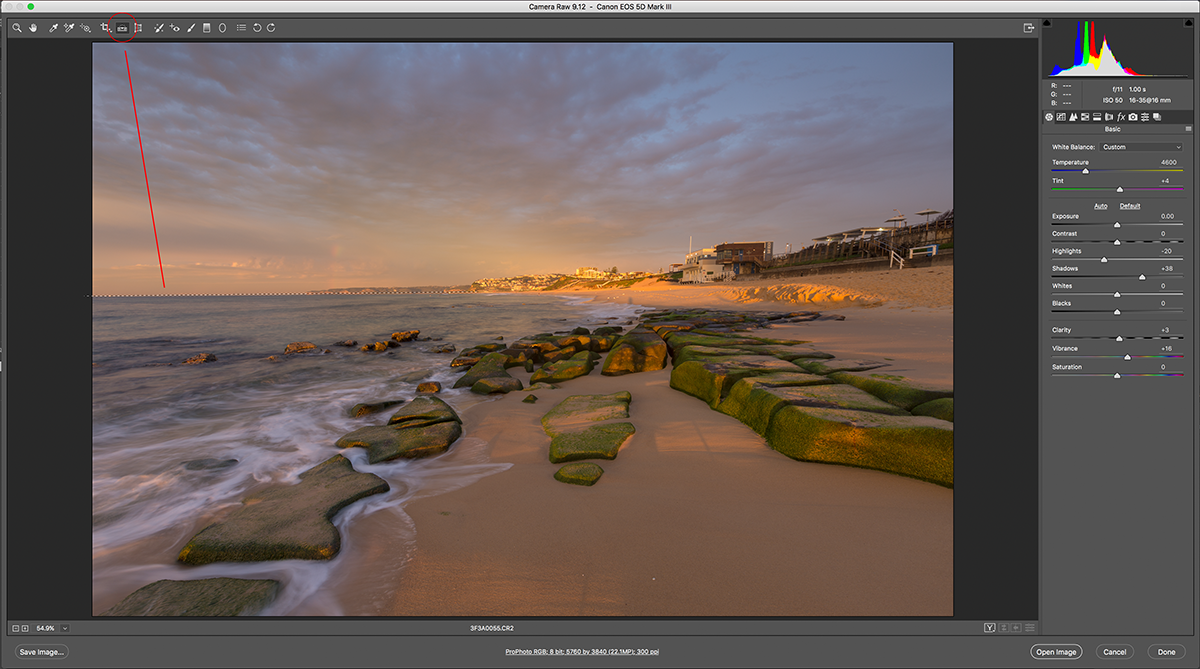 Horizon Align Tool Camera Raw