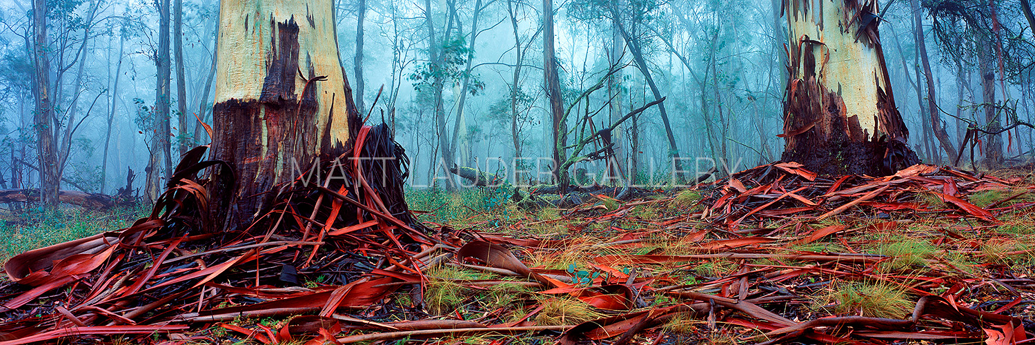 Ghostly Twins Landscape Photography Prints