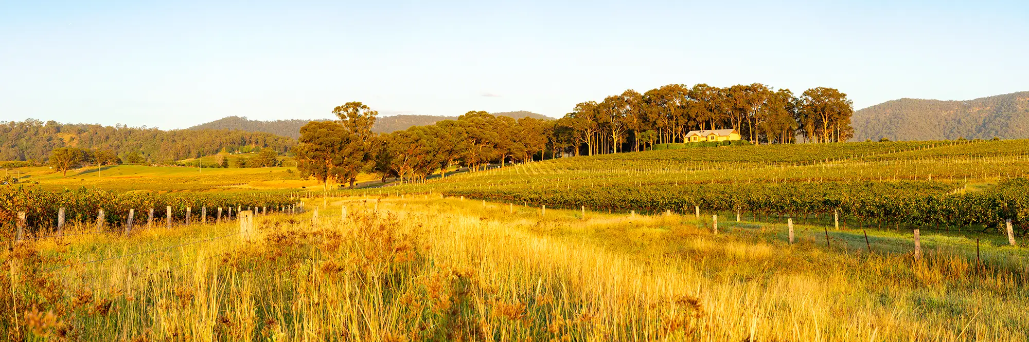 Hunter Valley Panoramic Images