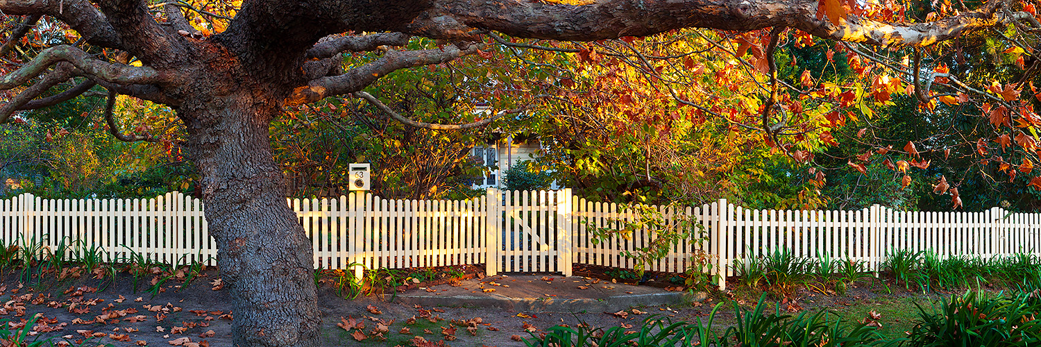 Photos of Leura in the Blue Mountains