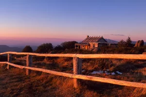 Country, Vic