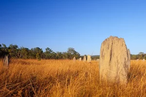 Darwin, Northern Territory