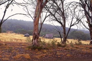 Snowy Mountains, NSW