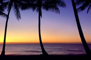 Tropical North, Queensland